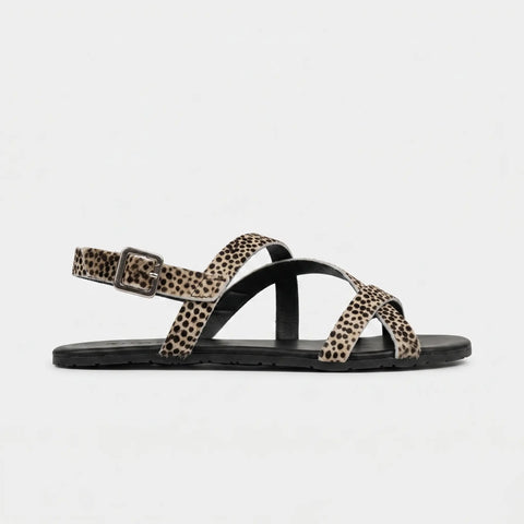 Sandalias Respetuosos Coqueflex Horssy 1568 Guepardo